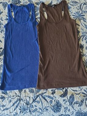 Ambiance Blue and Brown Ribbed Tank Tops - Scoop Neck Racerback
